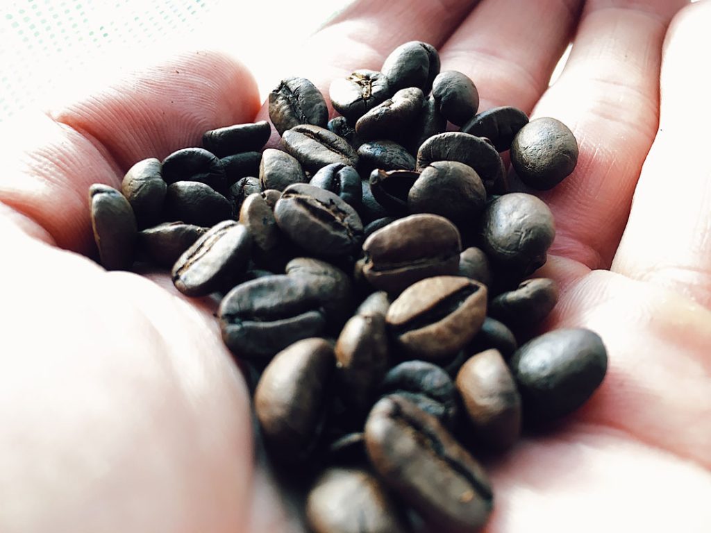 O Brasil, o Café e o Ayurveda clínica hiraoka